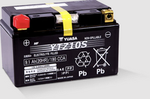 Yuasa Battery YTZ10S