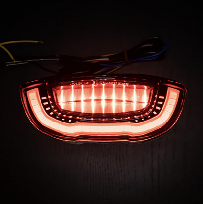 Tucked-Up Integrated Taillight for Honda CB650R / CBR650R 2019 - 2023